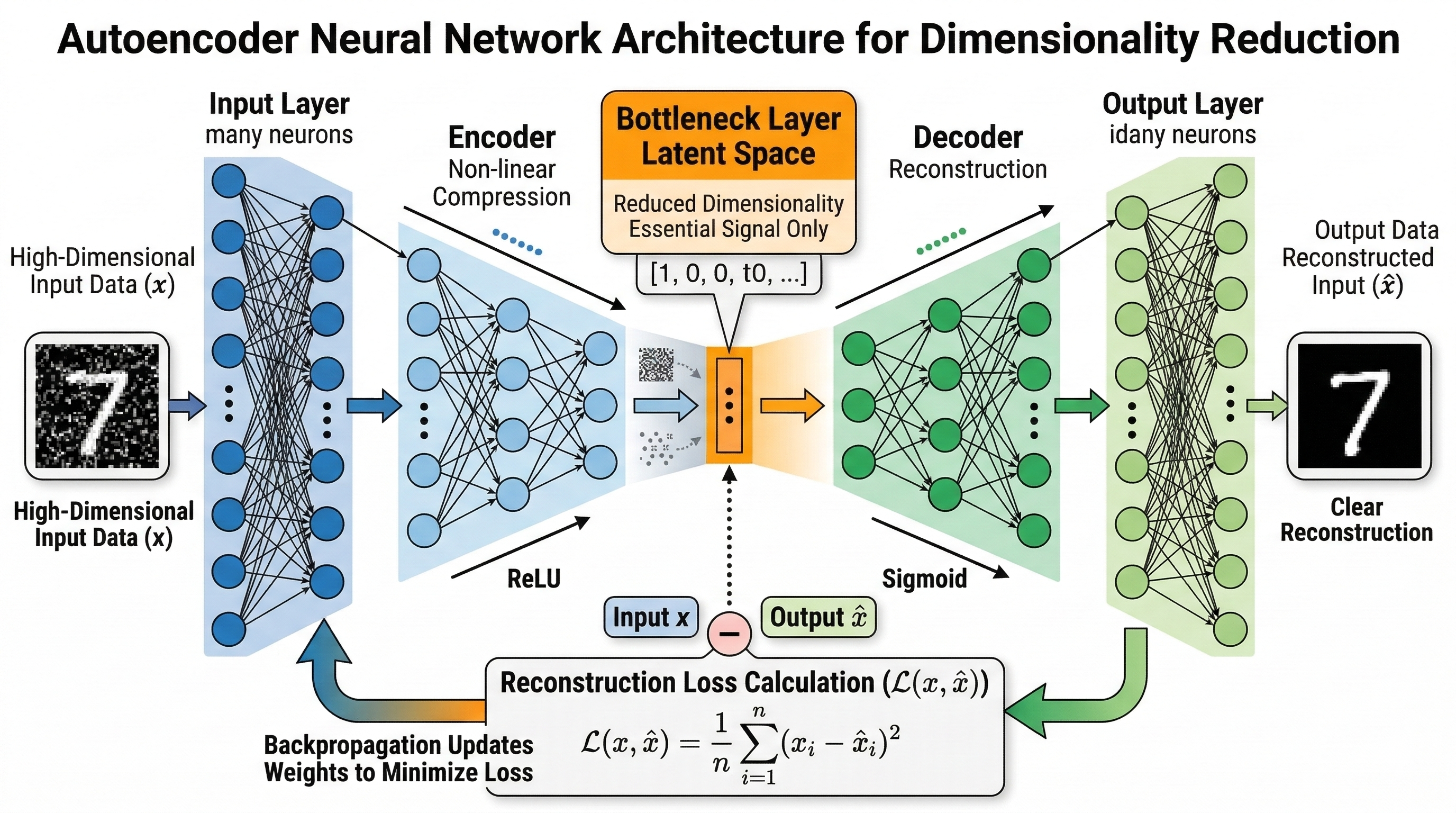 Diagram of an Autoencoder showing the hourglass structure from Input to Encoder to Bottleneck to Decoder to Output